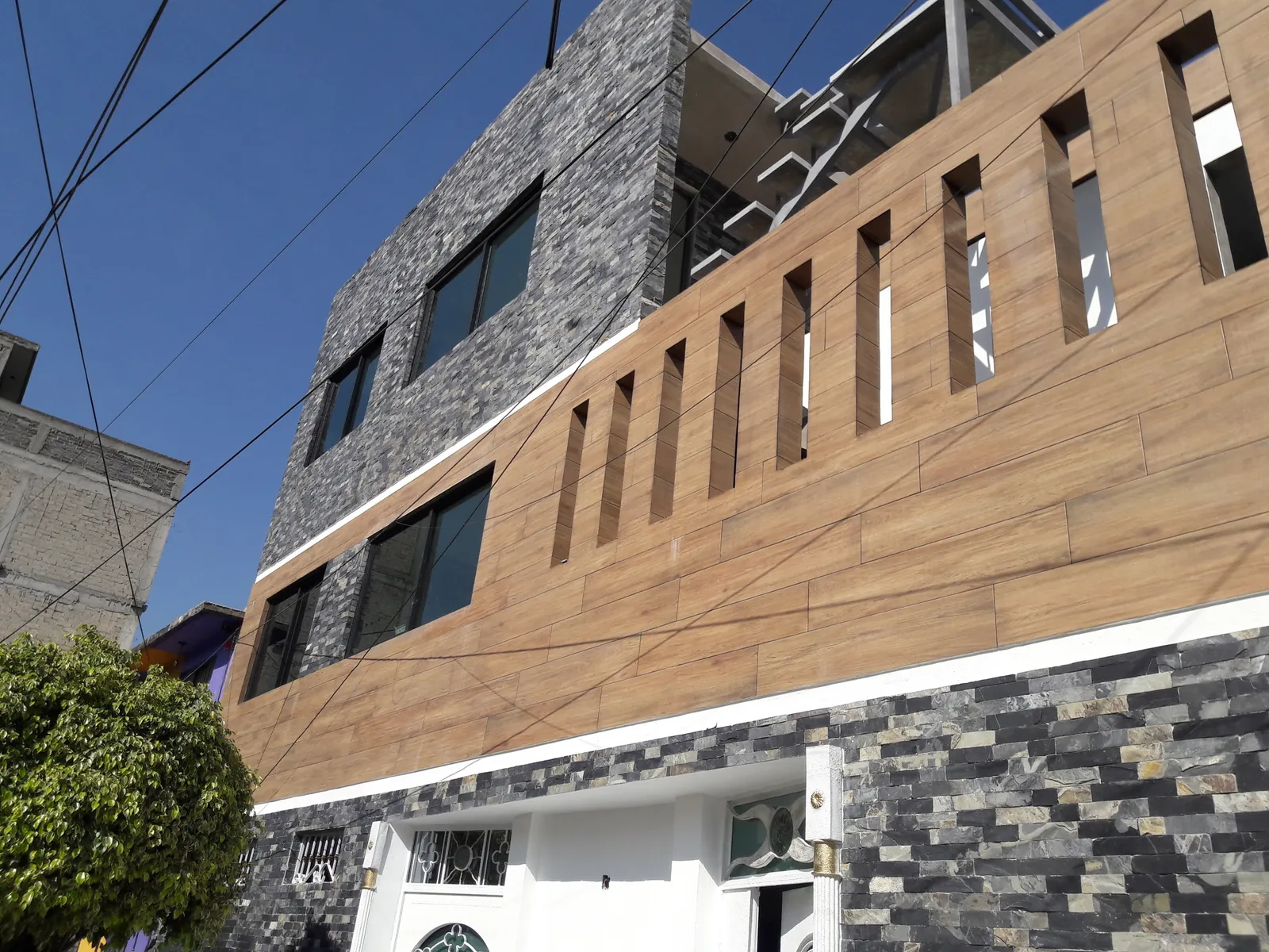 Proyecto León, foto 2 de 3