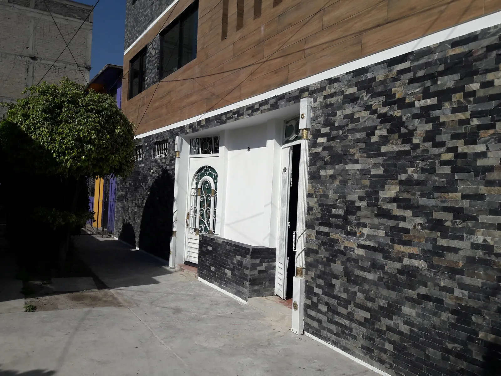 Proyecto León, foto 3 de 3